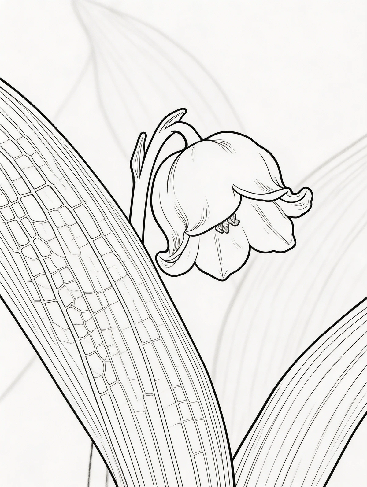 植物照片转化为白描线稿前示例照片