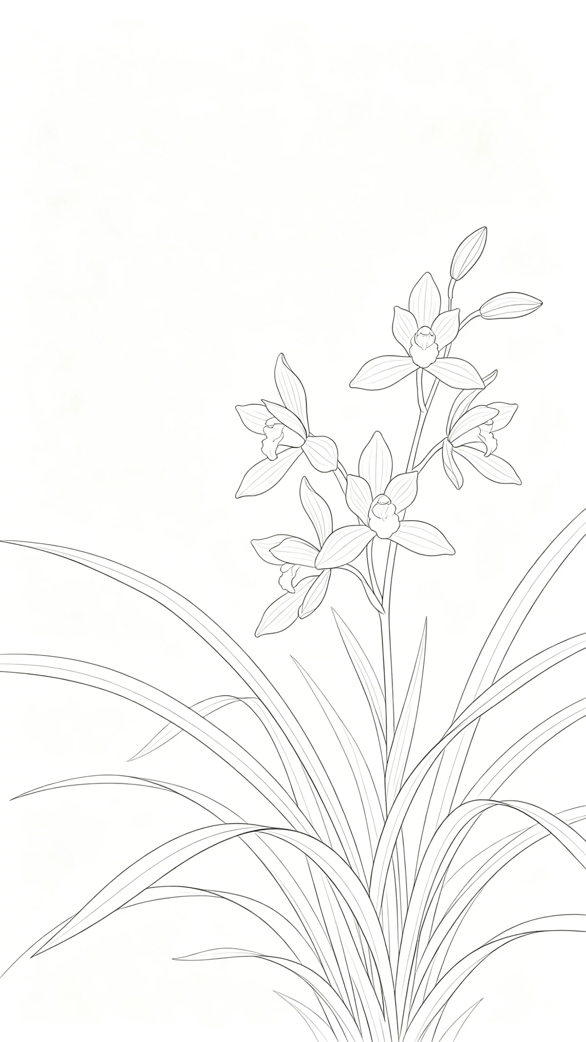 极简线稿壁纸示例1