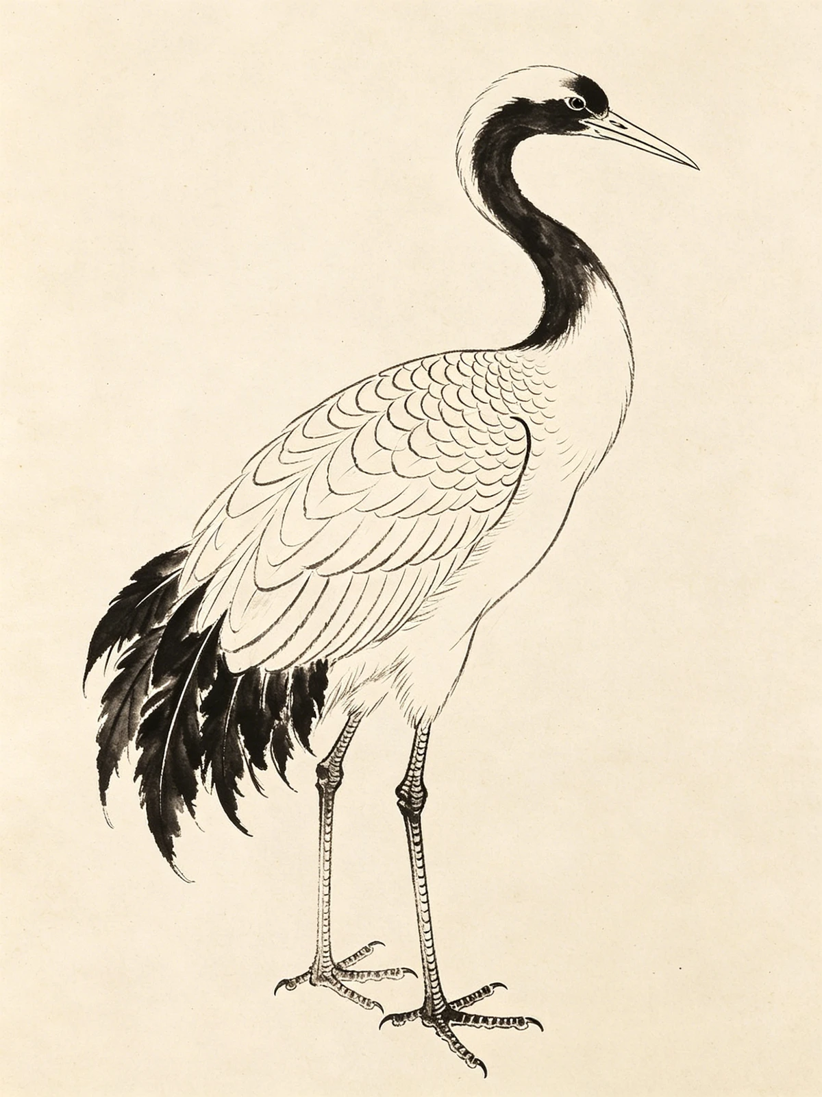 动物白描线稿示例1