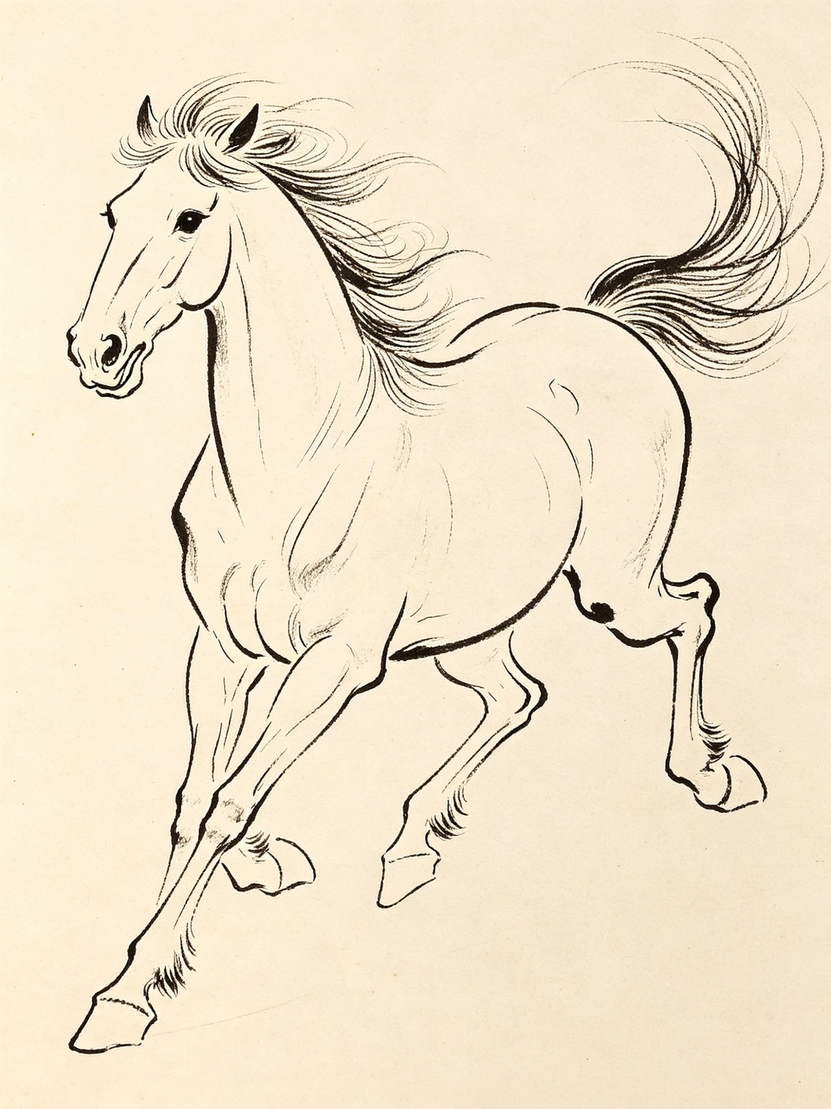 动物白描线稿示例1