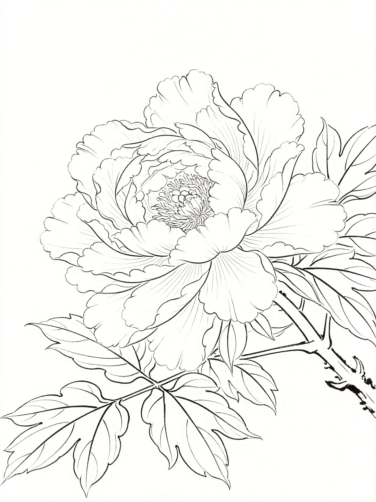工笔白描线稿示例1