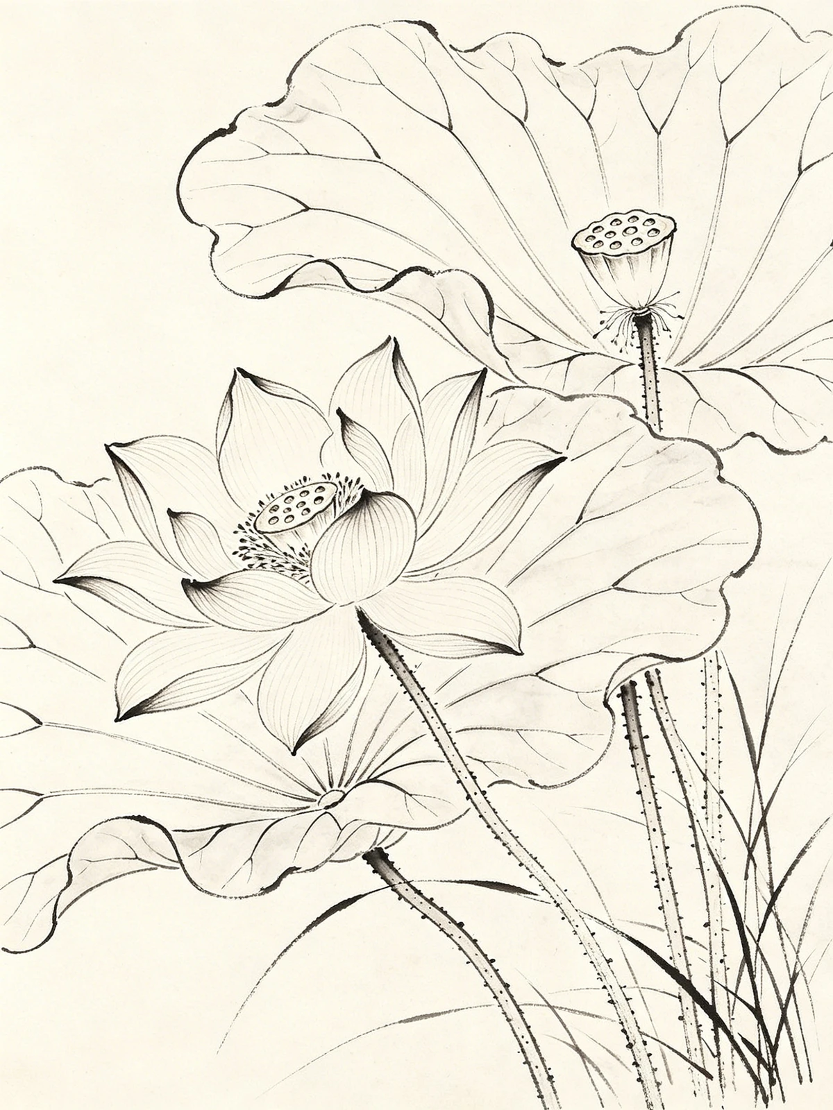 工笔白描线稿示例1
