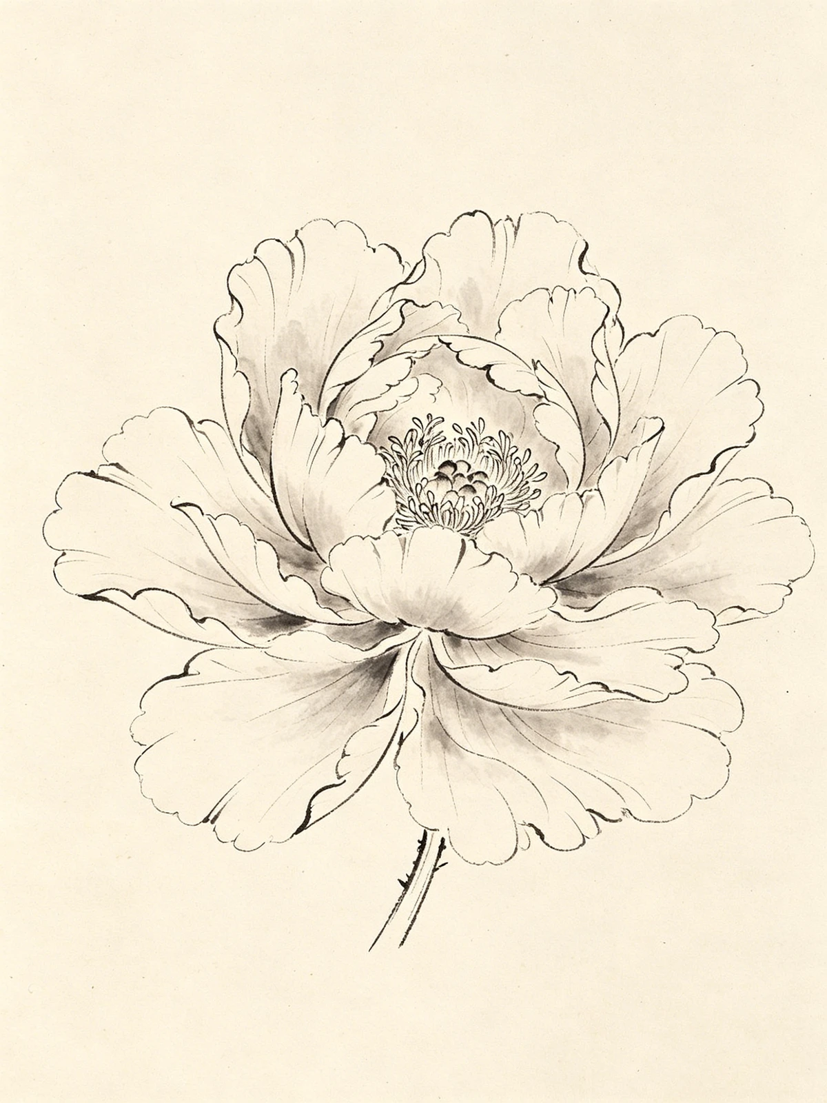 工笔白描线稿示例1