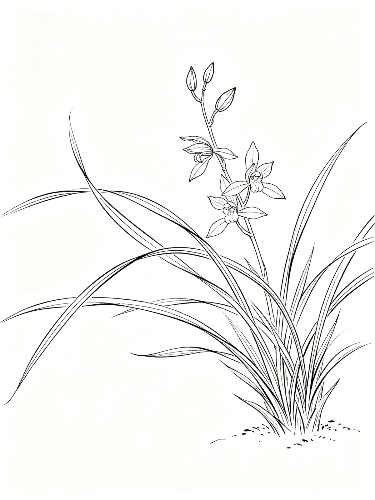 工笔白描线稿示例1