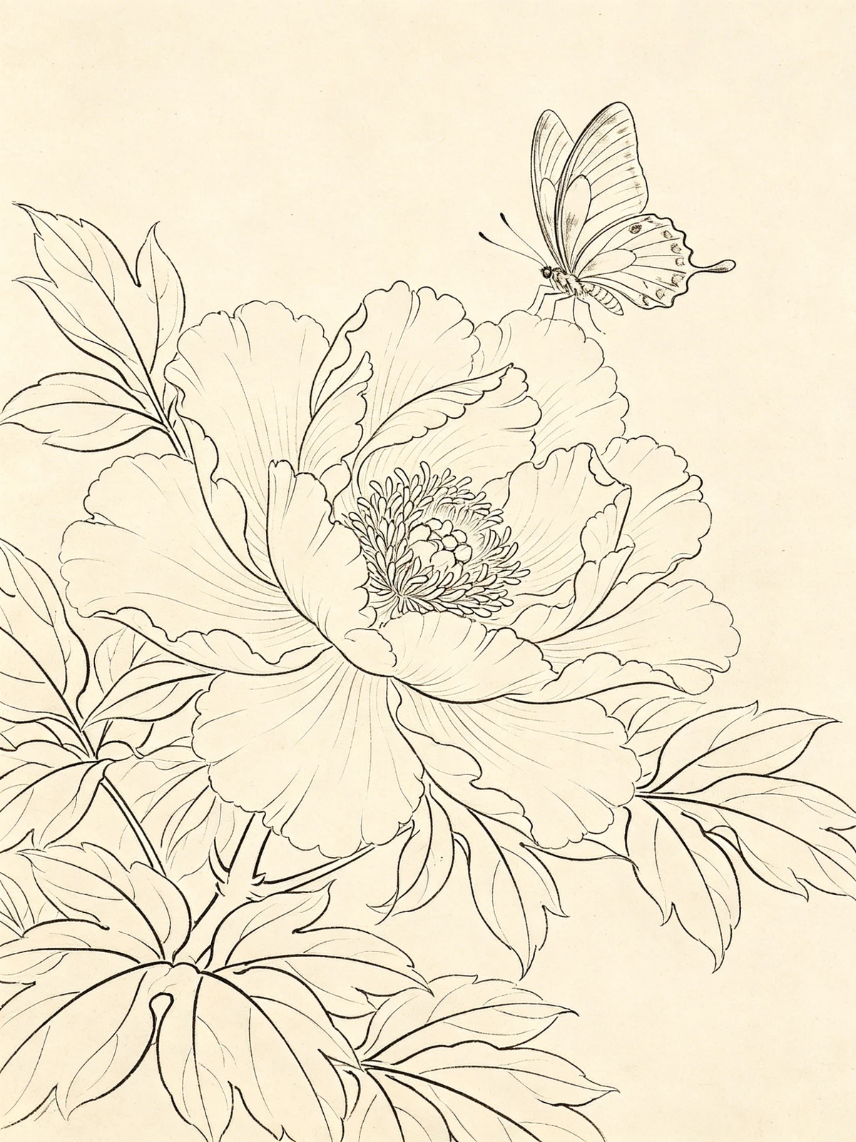 工笔花鸟线稿示例1