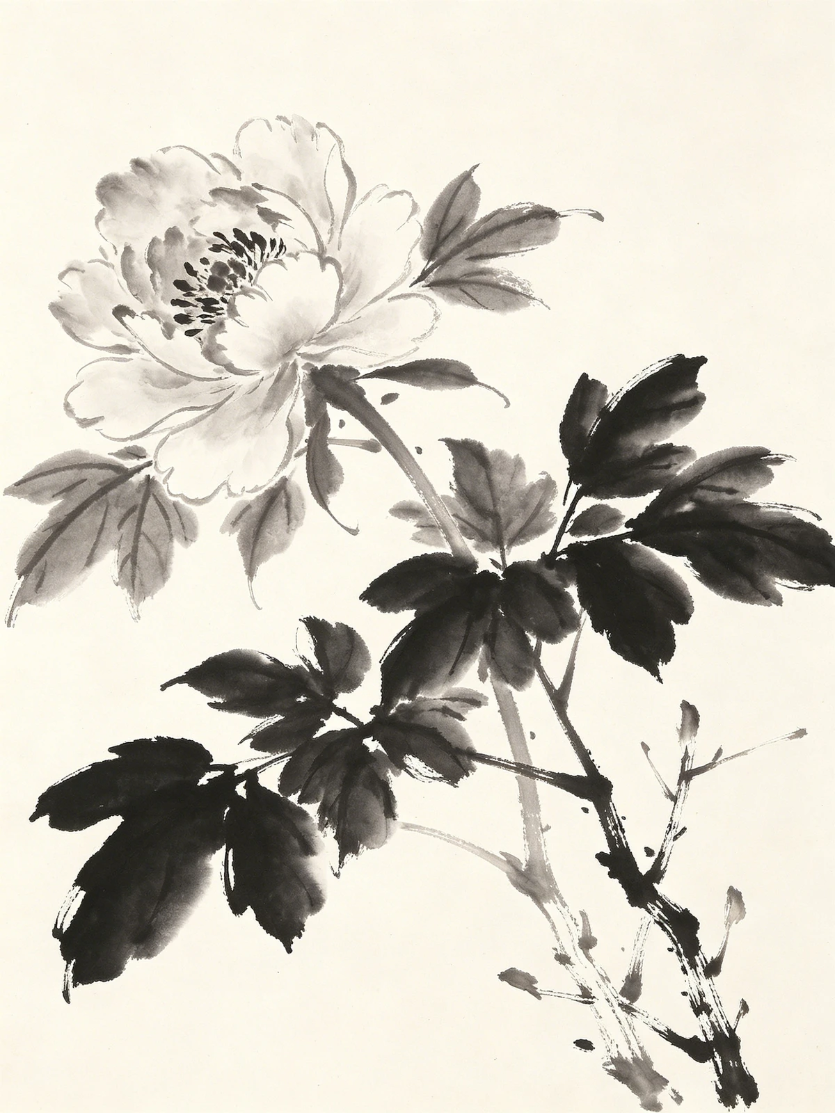 写意水墨牡丹线稿示例1