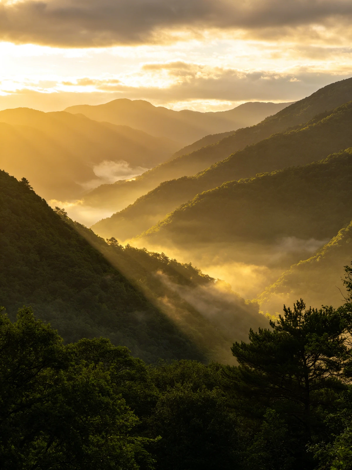 风景照片转线稿前示例照片