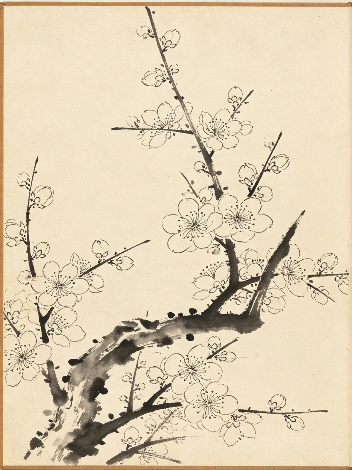 没骨画法梅花线稿示例1