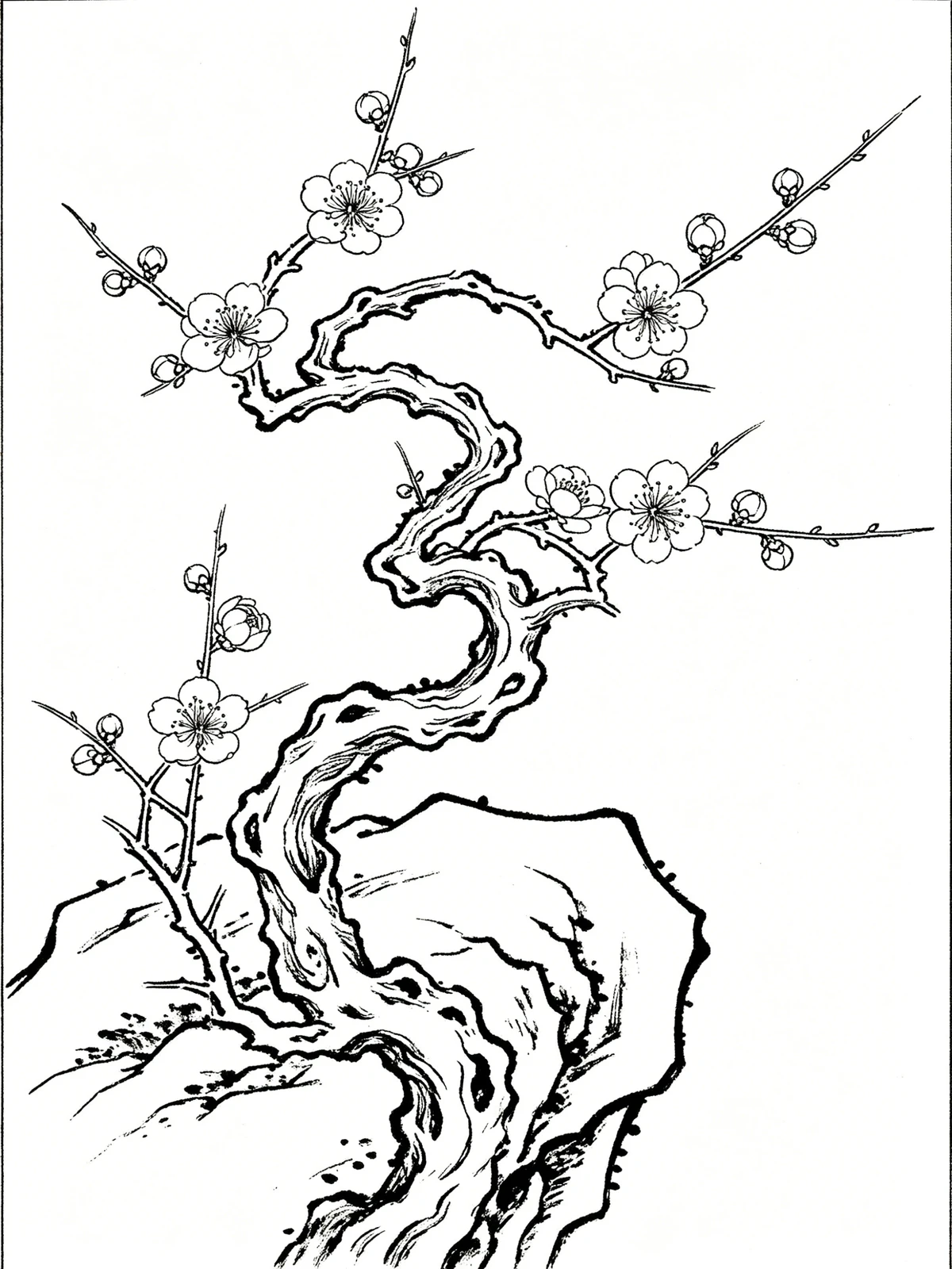 工笔白描梅花线稿示例1