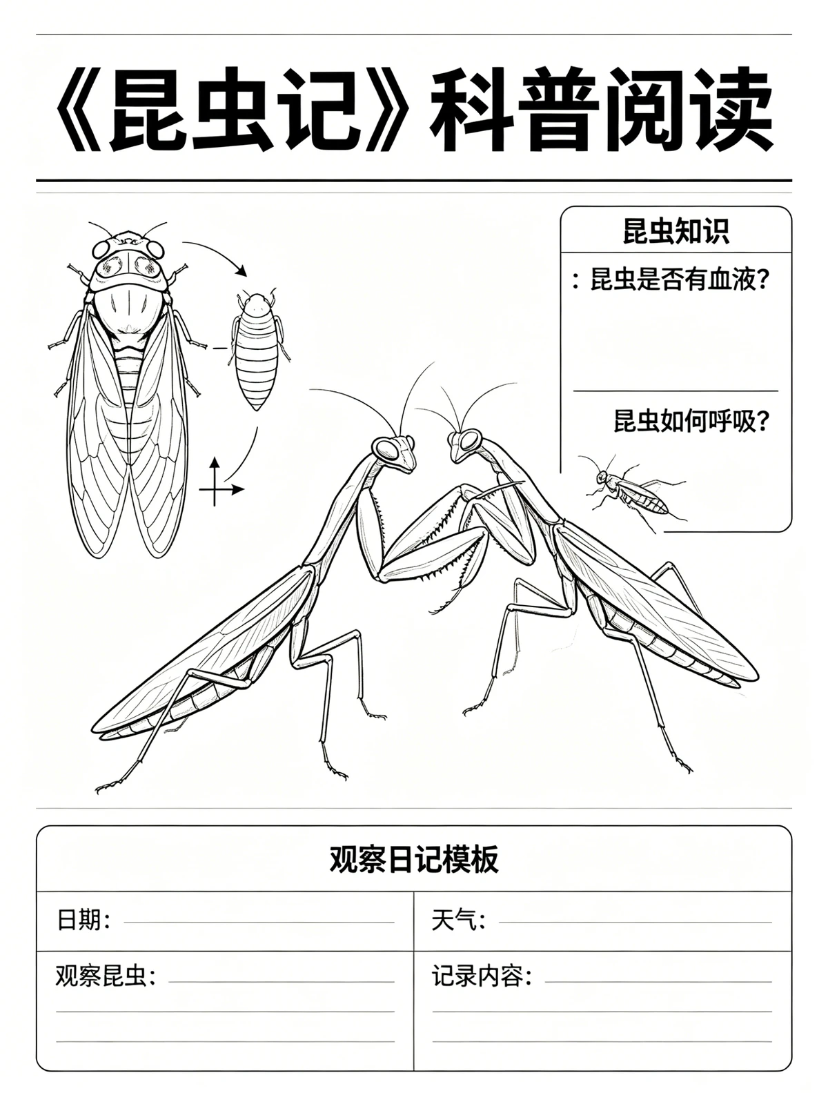 科普阅读小报线稿生成示例1